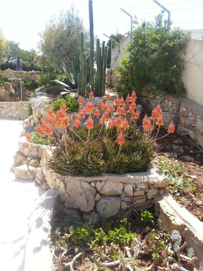 Villa Ca Del Mar Morciano di Leuca Luaran gambar