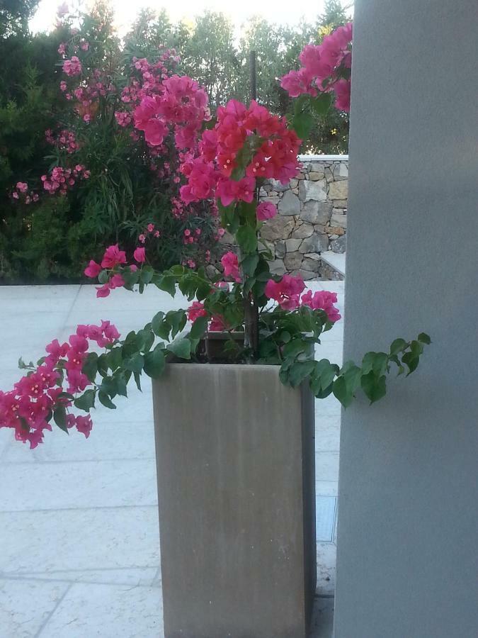 Villa Ca Del Mar Morciano di Leuca Luaran gambar